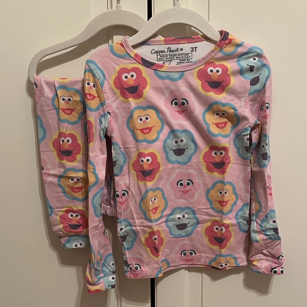 Copper Pearl 3T Sesame Street Toddler Pajama Set